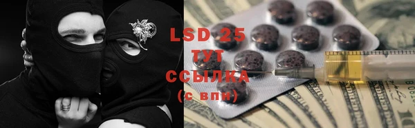 ПСИЛОЦИБИНОВЫЕ ГРИБЫ Алексин